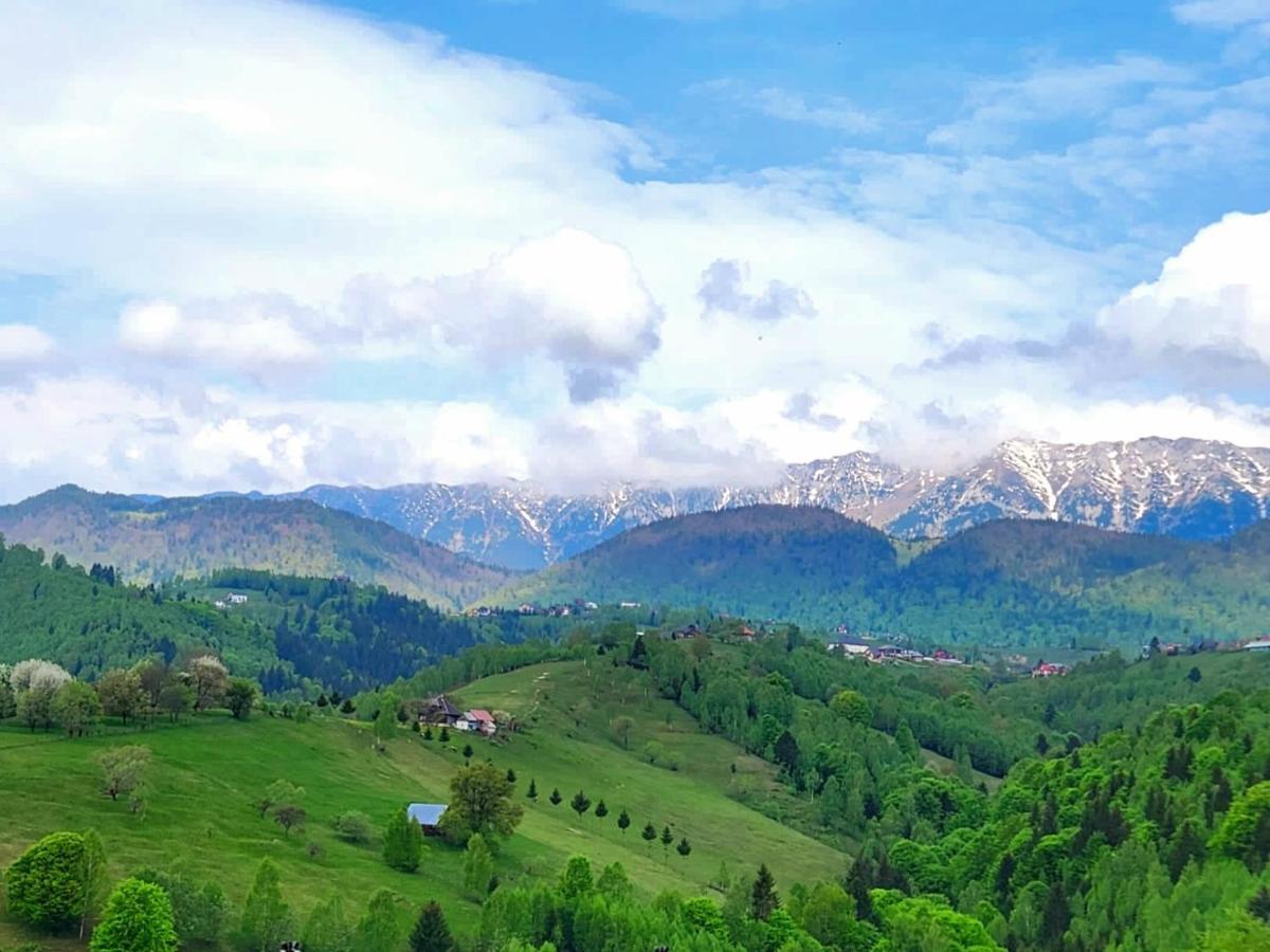 Carpathia Magic -Adults Only Villa Pestera  Luaran gambar